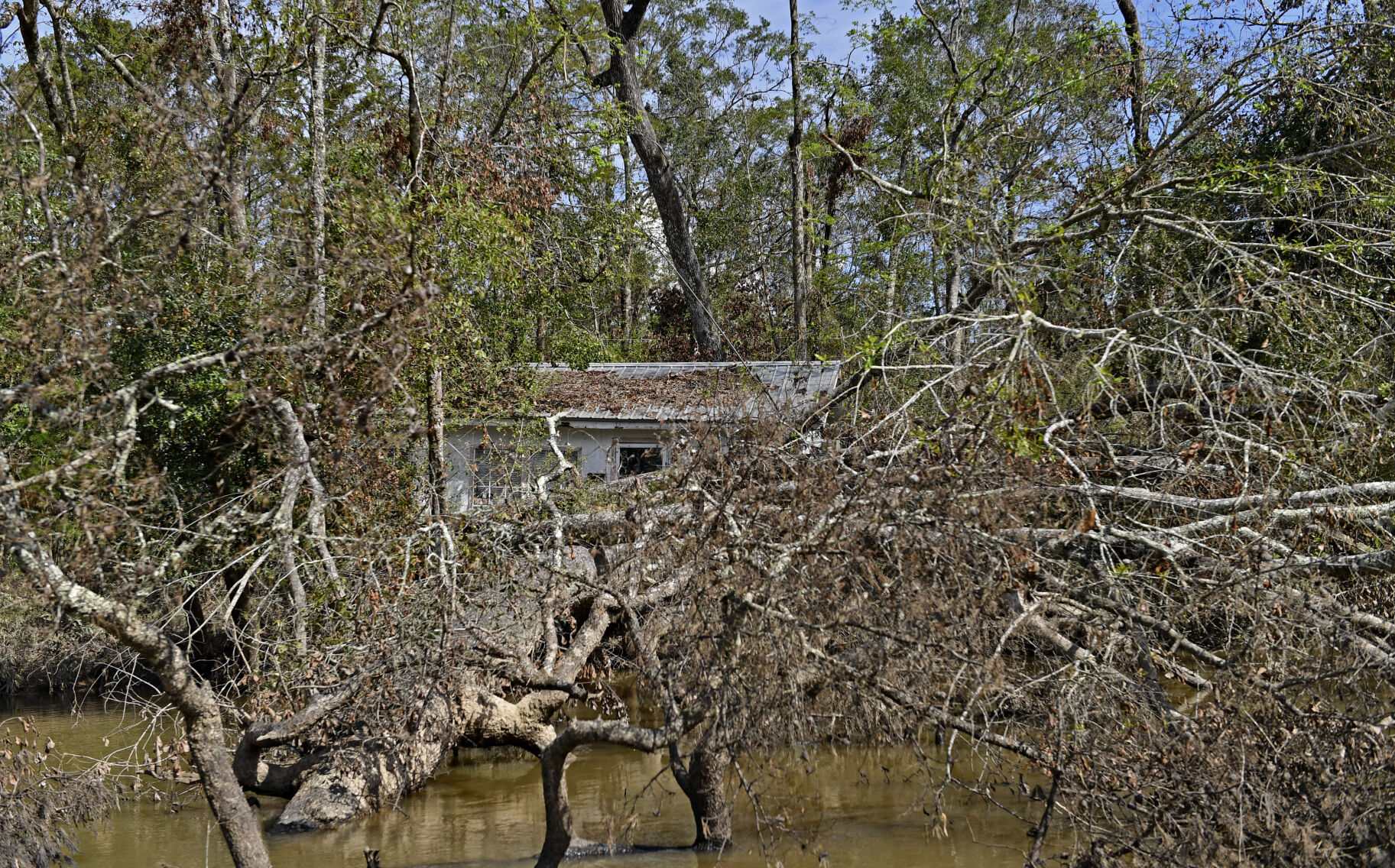 BR.tangidrainage.adv HS 1164.JPG